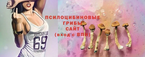 прущая мука Белокуриха