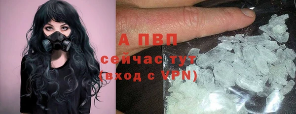 ешки Беломорск